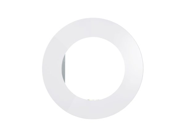 Delaney Mirror
